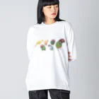 まめるりはことりのあつまれウロコインコちゃん【まめるりはことり】 ビッグシルエットロングスリーブTシャツ