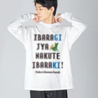 【SALE】Tシャツ★1,000円引きセール開催中！！！kg_shopのイバラギ じゃなくて イバラキ！！！ ビッグシルエットロングスリーブTシャツ