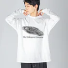 ミミコンブのThe Unknown Universe Big Long Sleeve T-Shirt