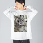 ねこの森でお散歩のフッワフワのシャムミックス Big Long Sleeve T-Shirt