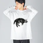 アメショーのひめちゃんのアメショーのひめちゃん⑥ ビッグシルエットロングスリーブTシャツ