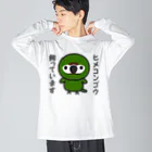 いんこ屋堂のヒメコンゴウ飼っています Big Long Sleeve T-Shirt