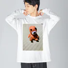 ポメラニアンのアリスくんの謎の生き物 Big Long Sleeve T-Shirt