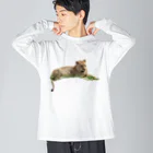 mayura_photoの若いオスライオン Big Long Sleeve T-Shirt