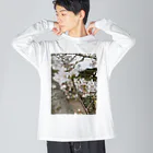 tksの春の顔サクラ Big Long Sleeve T-Shirt