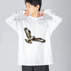 J-SHOPのピクセルアート　はやぶさ Big Long Sleeve T-Shirt