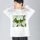 癒しの音楽の森の癒しの白いネモフィラ Big Long Sleeve T-Shirt