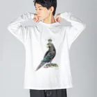 オチタケヒト takehito ochi きゃったろうのオウム g ビッグシルエットロングスリーブTシャツ