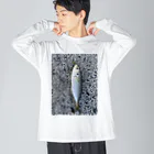 popcornの３月に釣れたアジ Big Long Sleeve T-Shirt