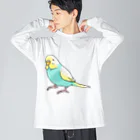 まめるりはことりのごきげんセキセイインコ【まめるりはことり】 ビッグシルエットロングスリーブTシャツ