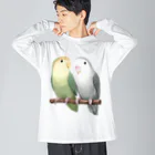 まめるりはことりのコザクラインコ　モーブとオリーブ【まめるりはことり】 ビッグシルエットロングスリーブTシャツ