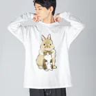 mofusandのちっこいねこ Big Long Sleeve T-Shirt