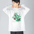 kitaooji shop SUZURI店のアカボシゴマダラとエノキ Big Long Sleeve T-Shirt
