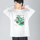 kitaooji shop SUZURI店のアカボシゴマダラとエノキ ビッグシルエットロングスリーブTシャツ