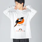 LittleLoroのMARU ジョビ丸（大）まるい小鳥 まる過ぎる ジョウビタキ Big Long Sleeve T-Shirt