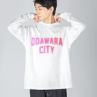 JIMOTO Wear Local Japanの小田原市 ODAWARA CITY ビッグシルエットロングスリーブTシャツ