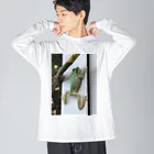 ばにーすぺーのカエルclimbing Big Long Sleeve T-Shirt