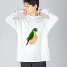 アキクサインコとウロコインコの手のりインコ、ウロコインコ ビッグシルエットロングスリーブTシャツ