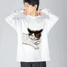 鼠の王国製作所の猫相の悪い猫がこちらをみている ビッグシルエットロングスリーブTシャツ