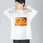 太々しい猫、玉三郎。の虚無さぶろう ビッグシルエットロングスリーブTシャツ