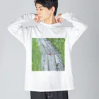 asako=niagaraのホオアカの寄り道② ビッグシルエットロングスリーブTシャツ