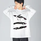 MoVのペンギン３種盛り（マゼラン・フンボルト・ケープ） Big Long Sleeve T-Shirt