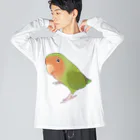 まめるりはことりの見つめるコザクラインコちゃん【まめるりはことり】 ビッグシルエットロングスリーブTシャツ