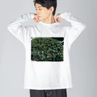 目黒川のキンモクセイ Big Long Sleeve T-Shirt