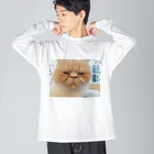 Ka-sunのぶちゃかわな猫 ビッグシルエットロングスリーブTシャツ