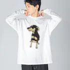 へちまめろんのキラッとミニピン Big Long Sleeve T-Shirt