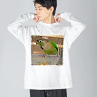 inko andのウロコインコのおーちゃん ビッグシルエットロングスリーブTシャツ