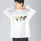 まめるりはことりのあつまれウロコインコちゃん【まめるりはことり】 ビッグシルエットロングスリーブTシャツ