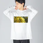 ビるばのミモザとハチ Big Long Sleeve T-Shirt