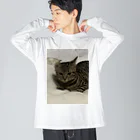 腹痛のねむぽんこ Big Long Sleeve T-Shirt