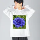 あゆのしおやきのヤグルマギク(青) Big Long Sleeve T-Shirt