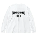 JIMOTOE Wear Local Japanの豊後大野市 BUNGO OHNO CITY ビッグシルエットロングスリーブTシャツ