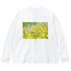 サキノと申しますの春の光 Big Long Sleeve T-Shirt