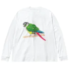 森図鑑の[森図鑑] ウロコインコC 横向き Big Long Sleeve T-Shirt