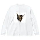 M家猫沢山屋のフタバくん Big Long Sleeve T-Shirt