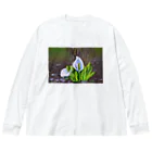 Proteaの水芭蕉 Big Long Sleeve T-Shirt