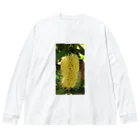 ♪mamashiro♪のリョク君 Big Long Sleeve T-Shirt