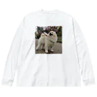 ポメラニアンのむめもの梅咲くポメラニアンむめも Big Long Sleeve T-Shirt