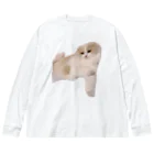 ふうまくんのお店のおねむなふうまくん Big Long Sleeve T-Shirt