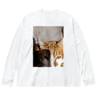 ROM鹿の寝起きを撮られた猫 ビッグシルエットロングスリーブTシャツ