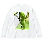 IMABURAIのキラキラ青虫 Big Long Sleeve T-Shirt