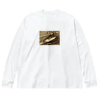 nico-nicochanのルアーフィッシング Big Long Sleeve T-Shirt