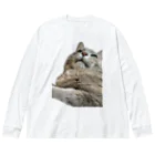 グレージュ猫ロッタン🐈‍⬛のよそ見ロッタン Big Long Sleeve T-Shirt