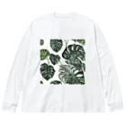 アガベマンの斑入りモンステラグッズ Big Long Sleeve T-Shirt