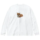 dszsdfdのこうばこねこねこ ビッグシルエットロングスリーブTシャツ