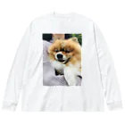 ポメラニアンのアリスくんのポメラニアンのアリスくん Big Long Sleeve T-Shirt